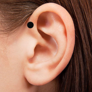 Forward Helix